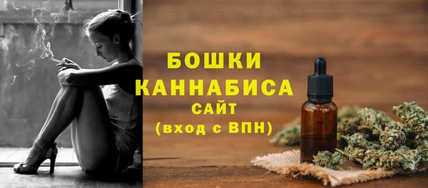 хмурый Бронницы