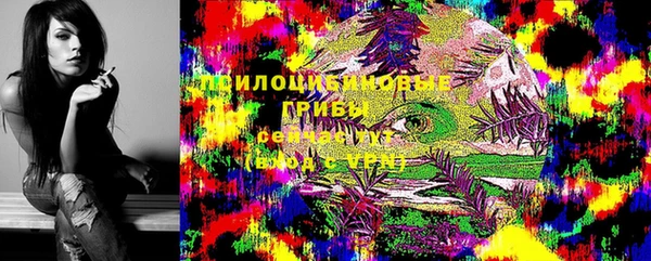 PSILOCYBIN Верхнеуральск