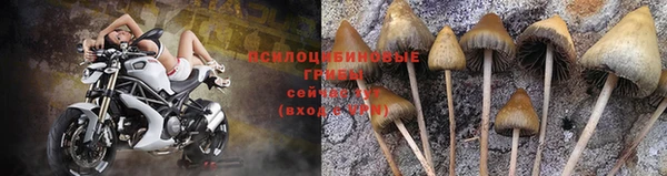 хмурый Бронницы