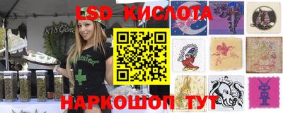 не бодяженный Кингисепп