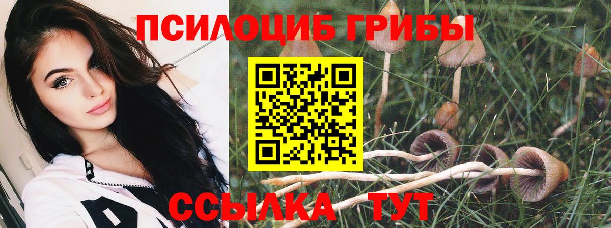 Галлюциногенные грибы Psilocybe  Галлюциногенные грибы GOLDEN TEACHER  дарнет шоп  Вход с VPN  Семилуки 